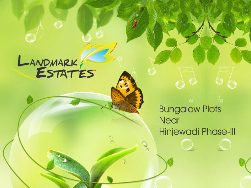 Image portfolio